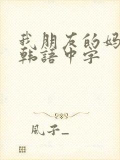 我朋友的妈妈2韩语中字