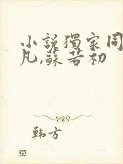 小说独家同桌陈凡,苏若初封面