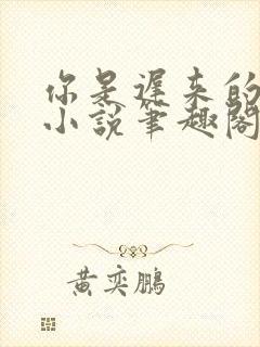 你是迟来的欢喜小说笔趣阁