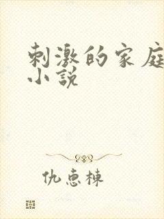 刺激的家庭乱仑小说