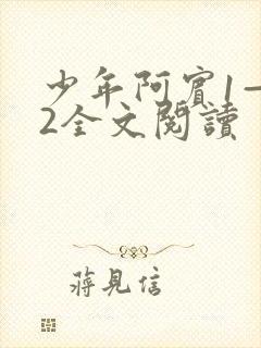 少年阿宾1—72全文阅读