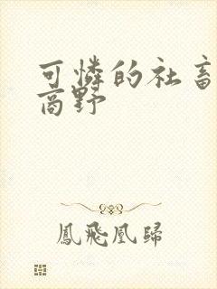 可怜的社畜周颂商野