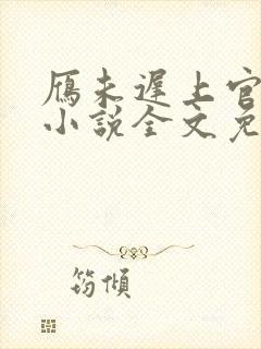 雁未迟上官穿越小说全文免费阅读