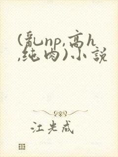 (乱np,高h,纯肉)小说