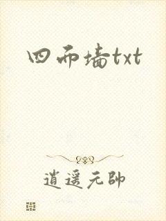 四面墙txt