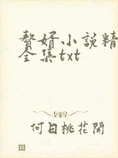 赘婿小说精校版全集txt