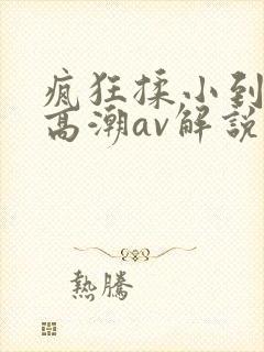 疯狂揉小到失禁高潮av解说