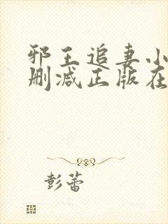 邪王追妻小说无删减正版在线阅读