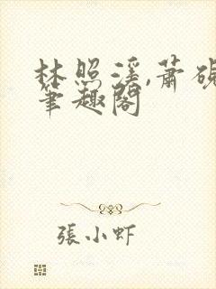 林照溪,萧砚川笔趣阁