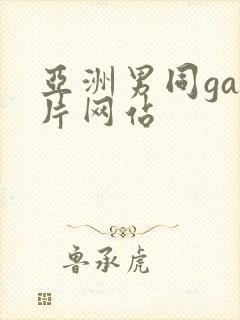 亚洲男同gay片网站