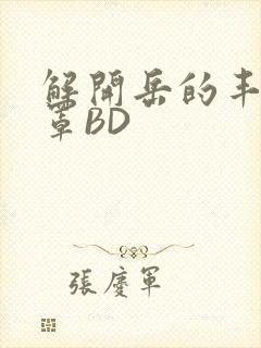 解开岳的丰满奶罩BD封面