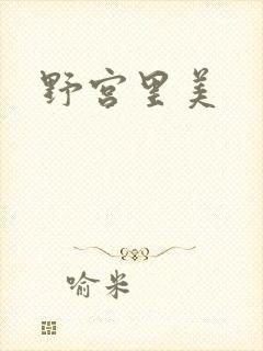 野宫里美封面