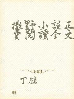 撒野小说正版免费阅读全文无弹窗