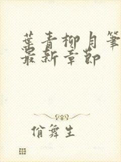 叶青柳月笔趣阁最新章节