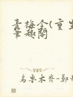 青梅令(重生)笔趣阁