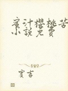 蜜汁樱桃苦咖啡小说免费