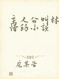 主人公叫林凡叶惜的小说