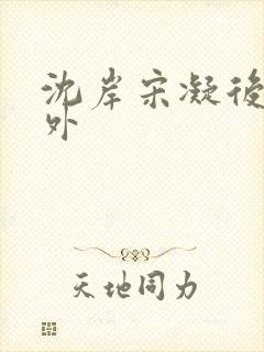 沈岸宋凝后续番外