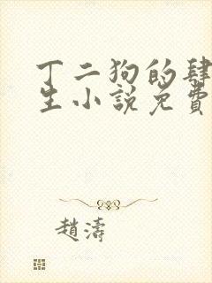 丁二狗的肆意人生小说免费1