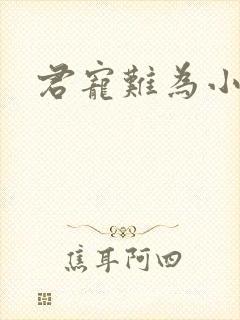 君宠难为小说封面