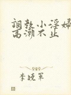 调教小淫妇失禁高潮不止封面