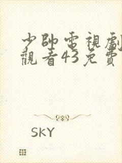 少帅电视剧全集观看43免费下载