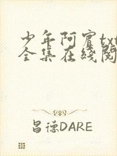 少年阿宾txt全集在线阅读