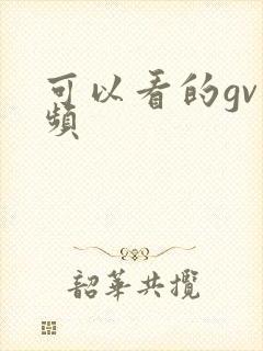 可以看的gv视频