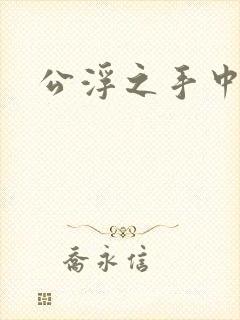 公浮之手中字5