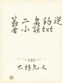 第二名的逆袭原著小说txt