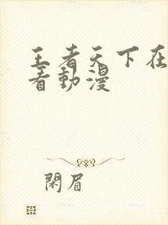 王者天下在线观看动漫