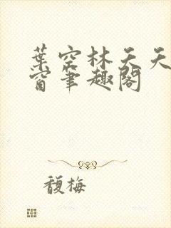 叶空林夭夭无弹窗笔趣阁封面