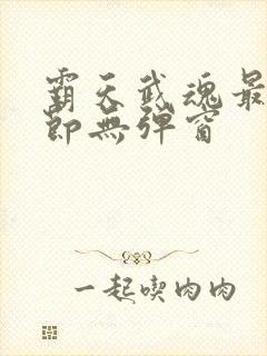 霸天武魂最新章节无弹窗封面