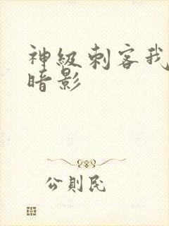 神级刺客我即为暗影