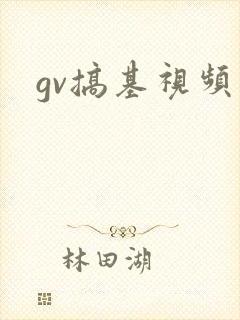 gv搞基视频
