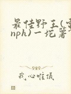 最佳野王(电竞nph)一坨薯饼