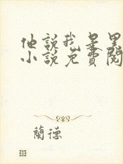 他说我是黑莲花小说免费阅读全文