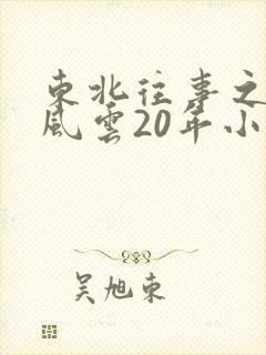 东北往事之黑道风云20年小说