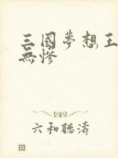 三国梦想王元姬无惨
