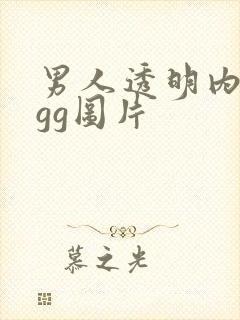 男人透明内裤露gg图片