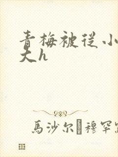 青梅被从小摸到大h