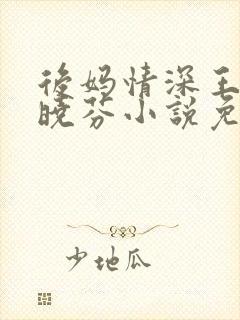 后妈情深王磊杨晓芬小说免费阅读全文