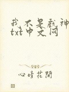 我不是戏神小说txt中文网