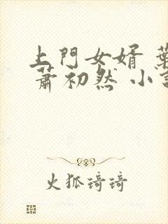 上门女婿 叶辰 萧初然 小说封面