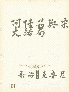 何佳茹与宋总的大结局封面