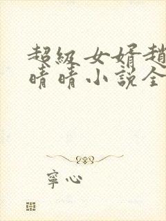 超级女婿赵旭李晴晴小说全文免费阅读