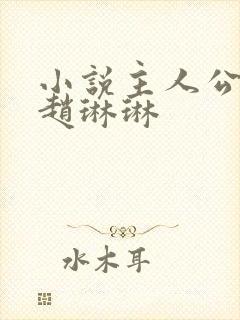 小说主人公陈凡赵琳琳封面