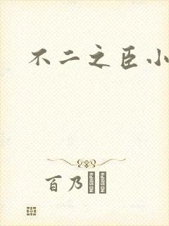 不二之臣小说