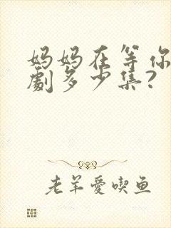 妈妈在等你电视剧多少集?