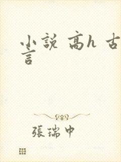 小说 高h 古言封面